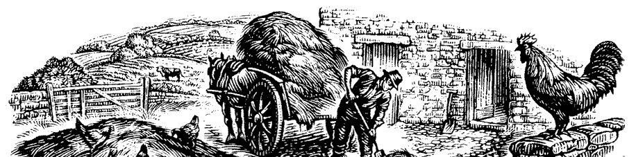 Hay cart in the farmyard