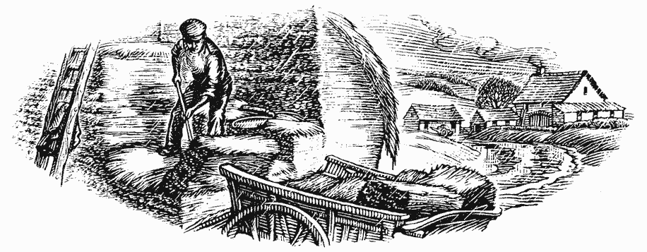 Farmer stacking hay